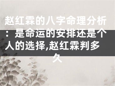赵红霖的八字命理分析：是命运的安排还是个人的选择,赵红霖判多久
