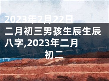 2023年2月22日二月初三男孩生辰生辰八字,2023年二月初二