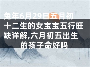 兔年6月29日五月初十二生的女宝宝五行旺缺详解,六月初五出生的孩子命好吗