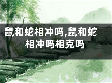 鼠和蛇相冲吗,鼠和蛇相冲吗相克吗