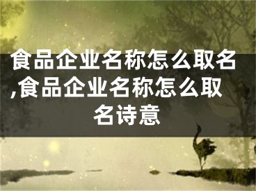 食品企业名称怎么取名,食品企业名称怎么取名诗意