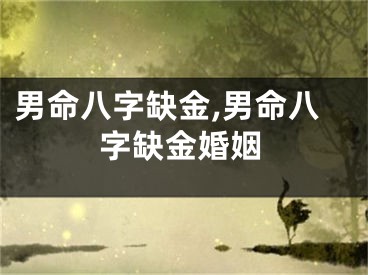 男命八字缺金,男命八字缺金婚姻