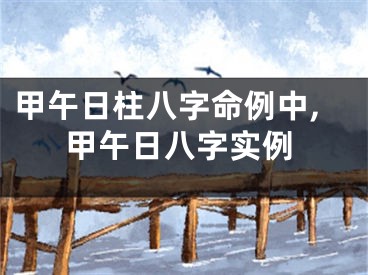 甲午日柱八字命例中,甲午日八字实例