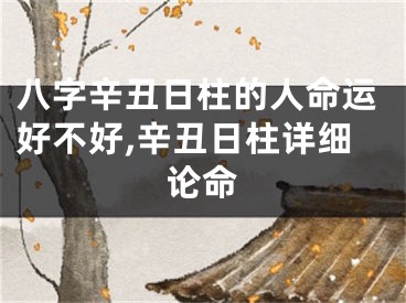 八字辛丑日柱的人命运好不好,辛丑日柱详细论命
