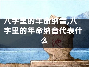 八字里的年命纳音,八字里的年命纳音代表什么