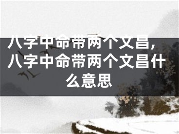 八字中命带两个文昌,八字中命带两个文昌什么意思
