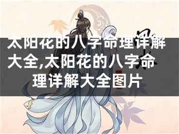 太阳花的八字命理详解大全,太阳花的八字命理详解大全图片