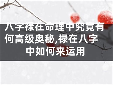 八字禄在命理中究竟有何高级奥秘,禄在八字中如何来运用