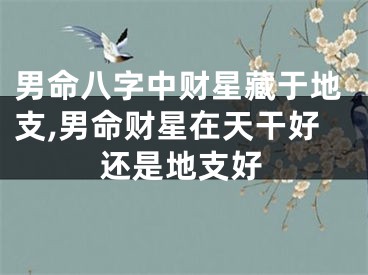 男命八字中财星藏于地支,男命财星在天干好还是地支好