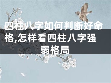 四柱八字如何判断好命格,怎样看四柱八字强弱格局