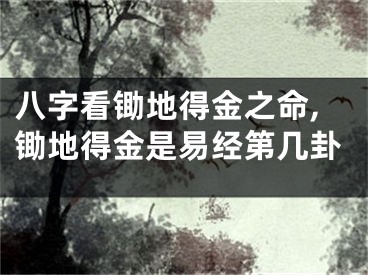 八字看锄地得金之命,锄地得金是易经第几卦