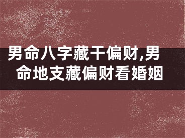 男命八字藏干偏财,男命地支藏偏财看婚姻