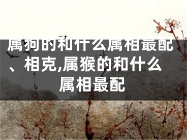 属狗的和什么属相最配、相克,属猴的和什么属相最配