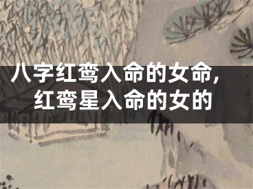 八字红鸾入命的女命,红鸾星入命的女的