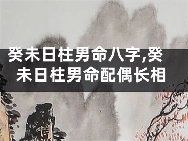 癸未日柱男命八字,癸未日柱男命配偶长相
