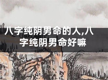 八字纯阴男命的人,八字纯阴男命好嘛