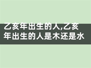 乙亥年出生的人,乙亥年出生的人是木还是水