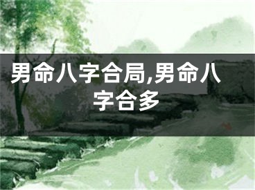 男命八字合局,男命八字合多