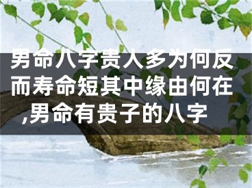男命八字贵人多为何反而寿命短其中缘由何在,男命有贵子的八字