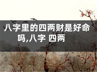 八字里的四两财是好命吗,八字 四两