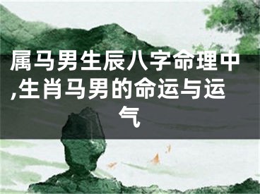 属马男生辰八字命理中,生肖马男的命运与运气