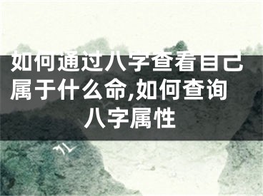 如何通过八字查看自己属于什么命,如何查询八字属性