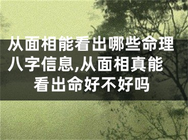 从面相能看出哪些命理八字信息,从面相真能看出命好不好吗