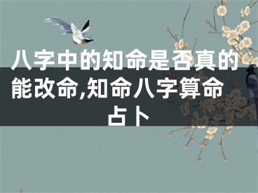 八字中的知命是否真的能改命,知命八字算命占卜