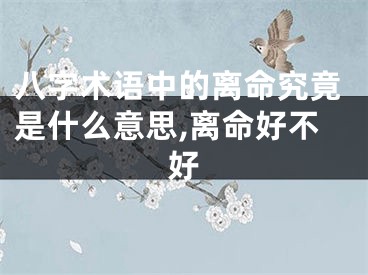 八字术语中的离命究竟是什么意思,离命好不好