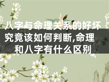 八字与命理关系的好坏究竟该如何判断,命理和八字有什么区别