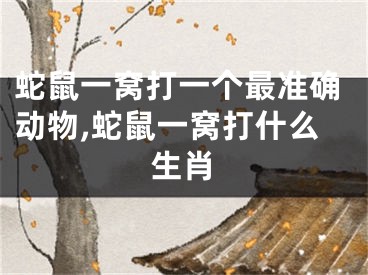 蛇鼠一窝打一个最准确动物,蛇鼠一窝打什么生肖