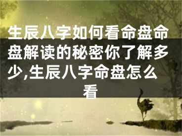 生辰八字如何看命盘命盘解读的秘密你了解多少,生辰八字命盘怎么看