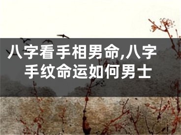 八字看手相男命,八字手纹命运如何男士