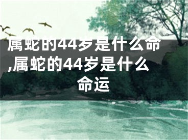 属蛇的44岁是什么命,属蛇的44岁是什么命运