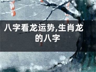八字看龙运势,生肖龙的八字