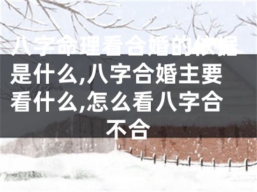 八字命理看合婚的依据是什么,八字合婚主要看什么,怎么看八字合不合