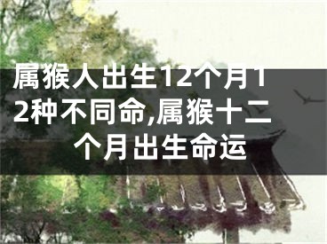 属猴人出生12个月12种不同命,属猴十二个月出生命运