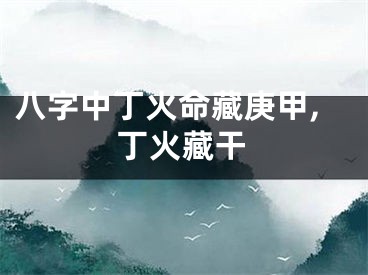 八字中丁火命藏庚甲,丁火藏干