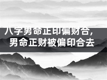 八字男命正印偏财合,男命正财被偏印合去