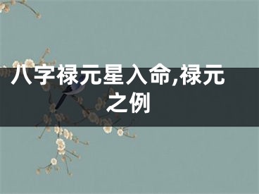 八字禄元星入命,禄元之例