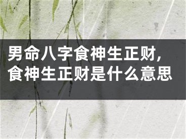 男命八字食神生正财,食神生正财是什么意思