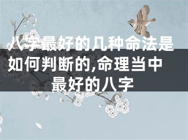 八字最好的几种命法是如何判断的,命理当中最好的八字