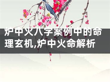 炉中火八字案例中的命理玄机,炉中火命解析