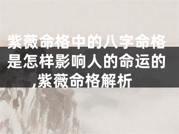 紫薇命格中的八字命格是怎样影响人的命运的,紫薇命格解析