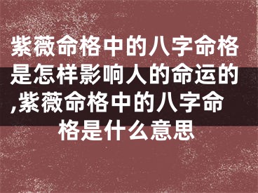 紫薇命格中的八字命格是怎样影响人的命运的,紫薇命格中的八字命格是什么意思