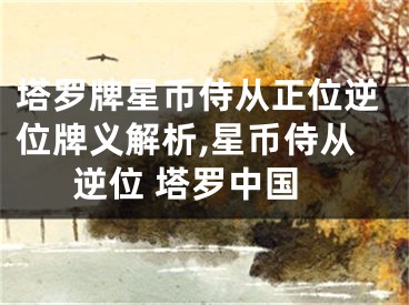 塔罗牌星币侍从正位逆位牌义解析,星币侍从逆位 塔罗中国