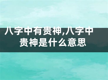 八字中有贵神,八字中贵神是什么意思