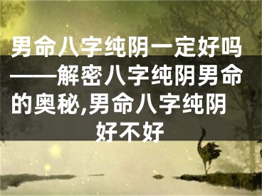 男命八字纯阴一定好吗——解密八字纯阴男命的奥秘,男命八字纯阴好不好
