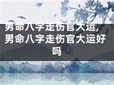 男命八字走伤官大运,男命八字走伤官大运好吗