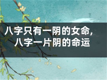 八字只有一阴的女命,八字一片阴的命运